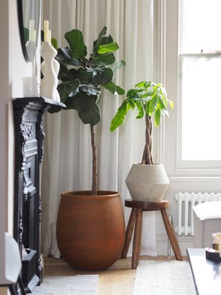 a stone effect plant pot